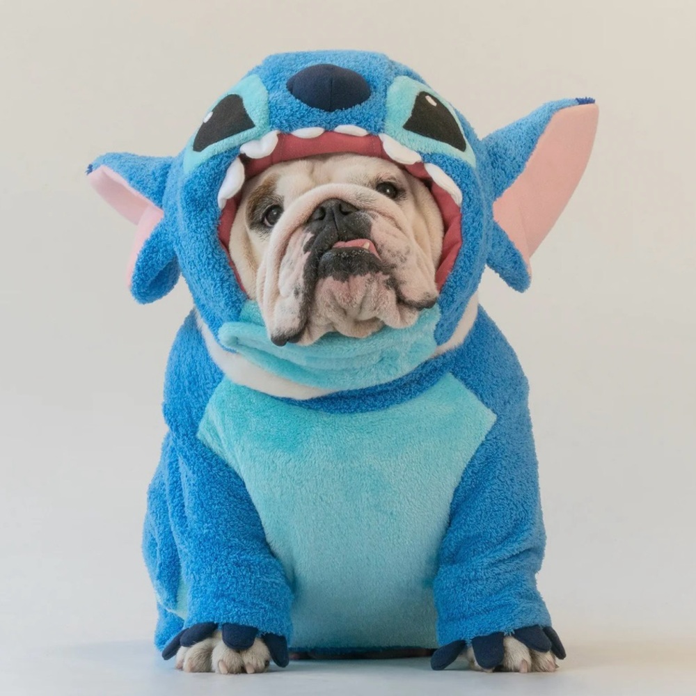 Cozy Stitch Dog Costume with wired ears.